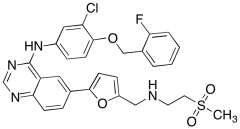 3-Desfluoro 2-Fluoro Lapatinib
