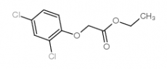 2,4-D ethyl ester
