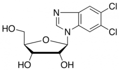 5,6-Dichloropurine-1-&beta;-D-ribofuanosyl-H-benzimidazole