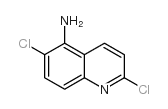 2,6-Dichloroquinolin-5-amine