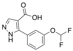 3-[3-(Difluoromethoxy)phenyl]-1H-pyrazole-4-carboxylic Acid