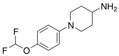 1-[4-(Difluoromethoxy)phenyl]piperidin-4-amine