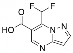 7-(Difluoromethyl)pyrazolo[1,5-a]pyrimidine-6-carboxylic acid