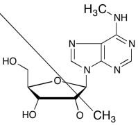 N6,O2'-Dimethyladenosine