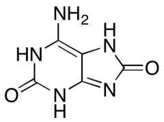 2,8-Dihydroxyadenine