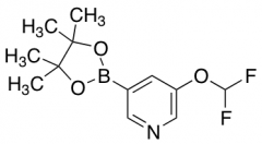 3-(Difluoromethoxy)-5-(4,4,5,5-tetramethyl-1,3,2-dioxaborolan-2-yl)pyridine