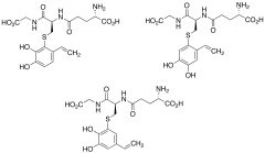 S-[(2,3)/(2,3)/(3,4)-Dihydroxy-5/6/6-vinylphenyl]-L-glutathione(Mixture of 3 isomers)