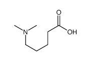 5-(Dimethylamino)pentanoic acid