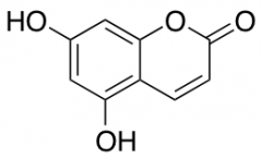 5,7-Dihydroxy-2H-chromen-2-one
