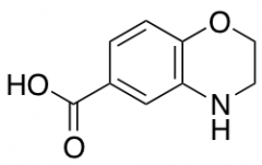 3,4-dihydro-2H-1,4-benzoxazine-6-carboxylic acid