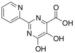 5,6-Dihydroxy-2-pyridin-2-yl-pyrimidine-4-carboxylic Acid