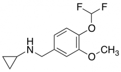 N-{[4-(Difluoromethoxy)-3-methoxyphenyl]methyl}cyclopropanamine