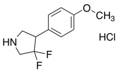 3,3-Difluoro-4-(4-methoxyphenyl)pyrrolidine Hydrochloride