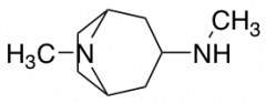 N,8-Dimethyl-8-azabicyclo[3.2.1]octan-3-amine