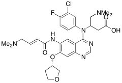 N3-(3-Dimethylamino,1-carboxyprop-2-yl) Afatinib