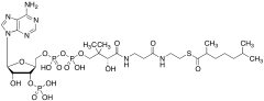2,6-Dimethylheptanoyl-CoADISCONTINUED. Please see D487078
