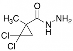 2,2-dichloro-1-methylcyclopropanecarbohydrazide