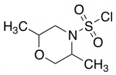 2,5-Dimethylmorpholine-4-sulfonyl Chloride