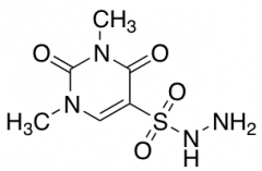 1,3-Dimethyl-2,4-dioxo-1,2,3,4-tetrahydropyrimidine-5-sulfonohydrazide
