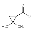 2,2-Dimethylcyclopropylcarboxylic acid