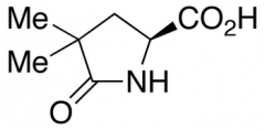 (2S)-4,4-Dimethyl-pyroglutamic Acid