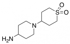 1-(1,1-Dioxidotetrahydro-2H-thiopyran-4-yl)piperidin-4-amine
