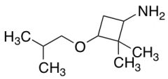 2,2-dimethyl-3-(2-methylpropoxy)cyclobutan-1-amine