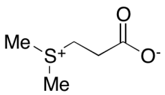 Dimethylsulfonioproprionate (contains ~20% water)
