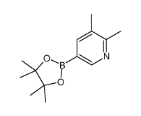 2,3-Dimethylpyridine-5-boronic acid pinacol ester