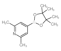 2,6-Dimethylpyridine-4-boronic acid, pinacol ester