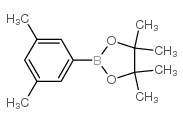 2-(3,5-Dimethylphenyl)-4,4,5,5-tetramethyl-1,3,2-dioxaborolane