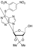 6-S-(2,4-Dinitrophenyl)-2',3'-O-(1-methylethylidene)-6-thioinosine