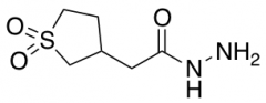 2-(1,1-dioxo-1lambda6-thiolan-3-yl)acetohydrazide