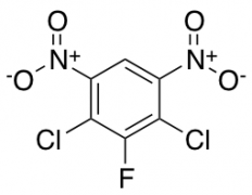 2,4-Dichloro-3-fluoro-1,5-dinitrobenzene