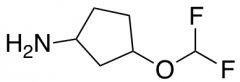 3-(difluoromethoxy)cyclopentan-1-amine