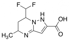 7-(Difluoromethyl)-5-methyl-4,5,6,7-tetrahydropyrazolo[1,5-a]pyrimidine-2-carboxylic Acid