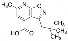 3-(2,2-Dimethylpropyl)-6-methyl-[1,2]oxazolo[5,4-b]pyridine-4-carboxylic Acid