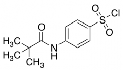 4-(2,2-Dimethylpropanamido)benzene-1-sulfonyl chloride