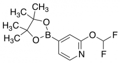 2-(Difluoromethoxy)-4-(4,4,5,5-tetramethyl-1,3,2-dioxaborolan-2-yl)pyridine