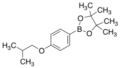 2-(4- lsobutoxyphenol)-4,4,5,5-tetramethyl-1,3,2-dioxaborolane