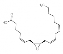 (+/-)-8,9-Epoxyeicosa-5Z,11Z,14Z-trienoic Acid