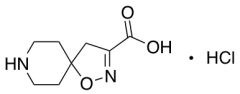 1-oxa-2,8-diazaspiro[4.5]dec-2-ene-3-carboxylic Acid Hydrochloride