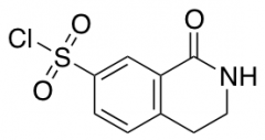 1-Oxo-1,2,3,4-tetrahydroisoquinoline-7-sulfonyl Chloride