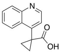 1-(quinolin-4-yl)cyclopropane-1-carboxylic Acid