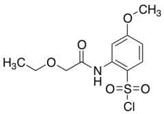 2-(2-ethoxyacetamido)-4-methoxybenzene-1-sulfonyl chloride