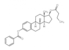 beta-Estradiol 3-benzoate 17-n-butyrate