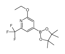 2-Ethoxy-6-trifluoromethylpyridine-4-boronic acid, pinacol ester