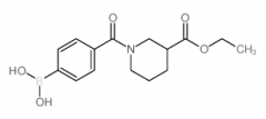4-(3-(Ethoxycarbonyl)piperidine-1-carbonyl)phenylboronic Acid