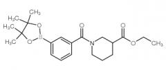 3-[3-(Ethoxycarbonyl)piperidine-1-carbonyl]phenylboronic Acid Pinacol Ester