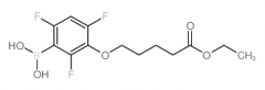 3-(4-Ethoxycarbonylbutyloxy)-2,4,6-trifluorophenylboronic Acid